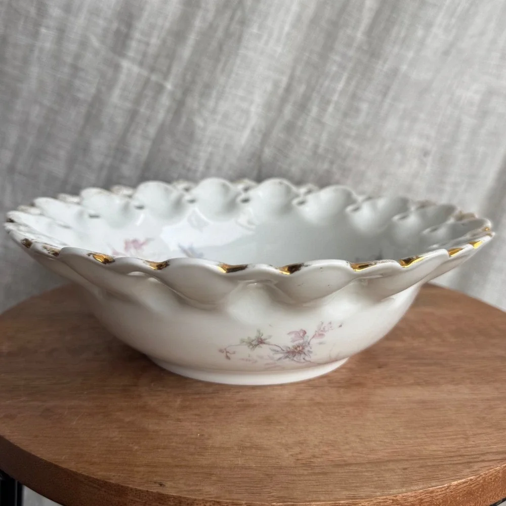 Antique Leonard Vienna Austria Bowl 9